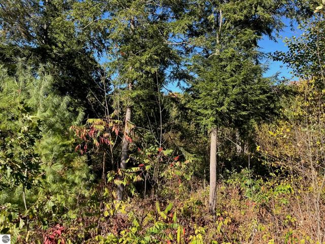 8824 Hemlock Hill Drive, Traverse City, MI 49685