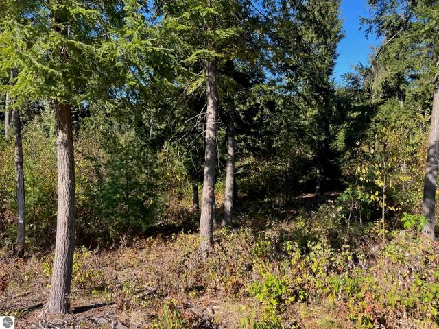 8824 Hemlock Hill Drive, Traverse City, MI 49685