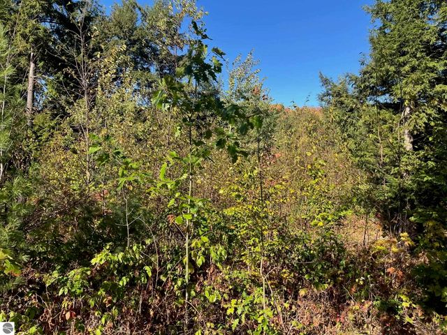 8824 Hemlock Hill Drive, Traverse City, MI 49685