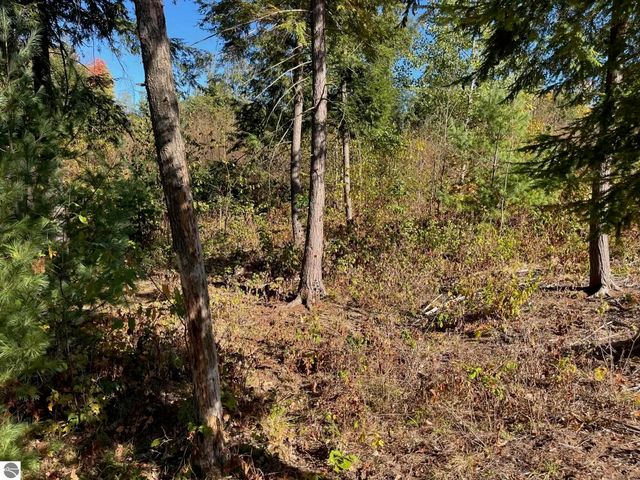 8824 Hemlock Hill Drive, Traverse City, MI 49685