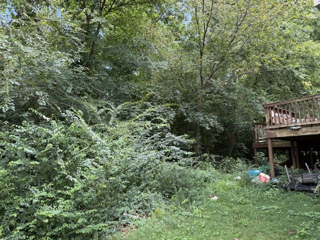 316 Kottas Pl, Nashville, TN 37217