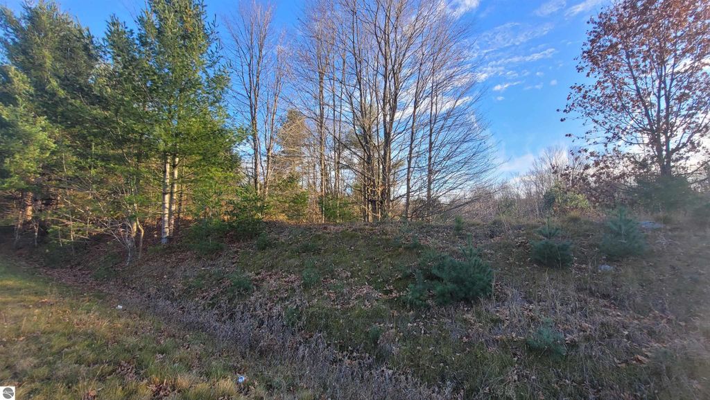 40 acres of wooded land in Alden, MI, featuring a mix of pine, oak, and birch trees, with rolling topography and open areas, ideal for development and outdoor activities.
