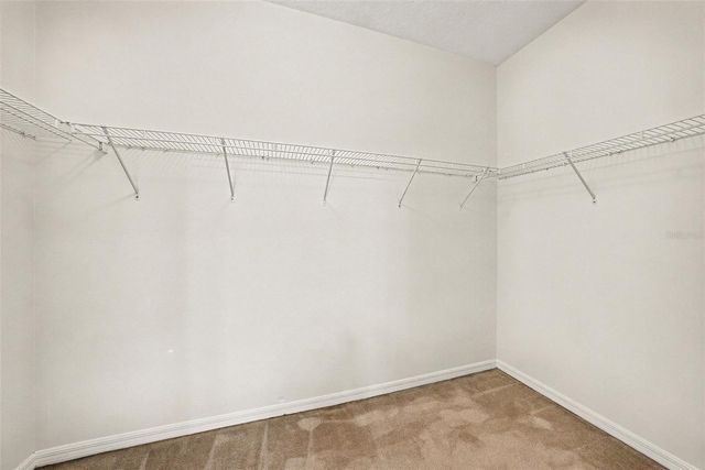 9420 GEORGIAN PARK LANE 106, Tampa, FL 33626