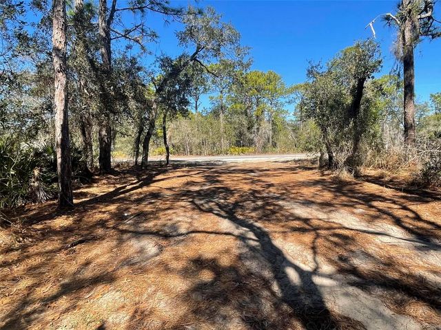 11242 MIRAGE AVENUE, Weeki Wachee, FL 34614