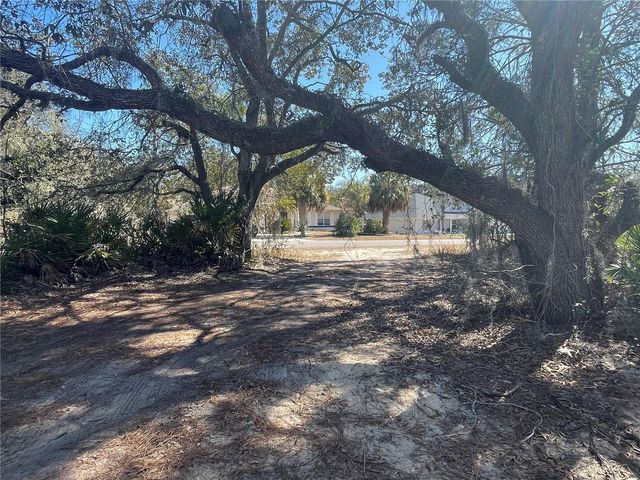 11242 MIRAGE AVENUE, Weeki Wachee, FL 34614