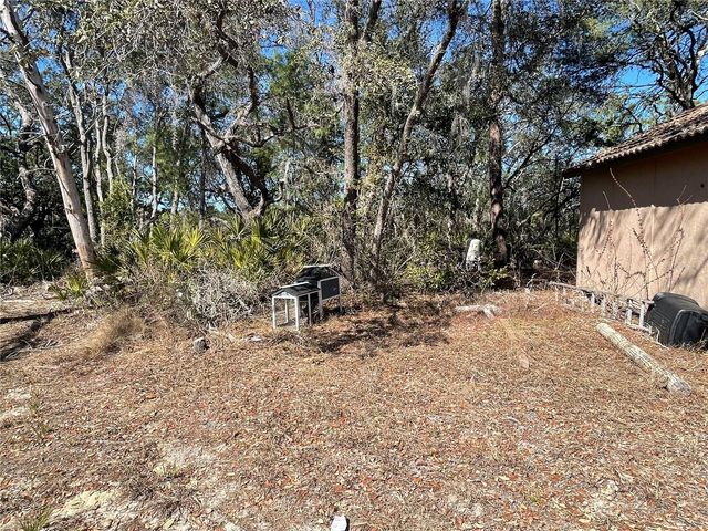 11242 MIRAGE AVENUE, Weeki Wachee, FL 34614