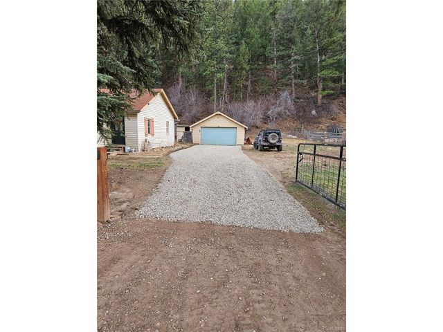 124 River Dr, Bailey, CO 80421