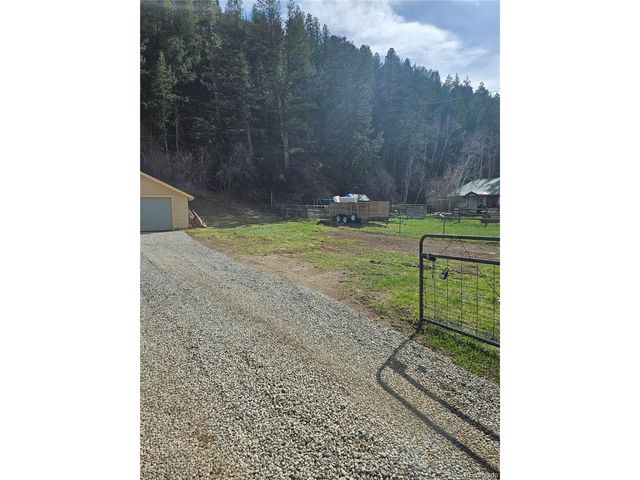 124 River Dr, Bailey, CO 80421