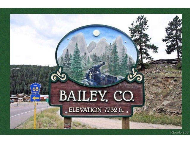 124 River Dr, Bailey, CO 80421