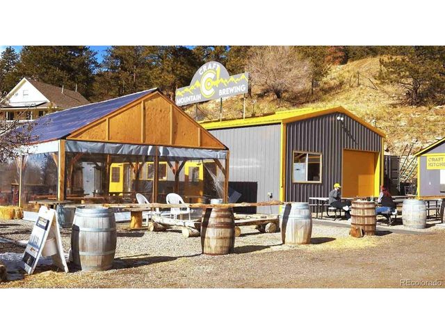 124 River Dr, Bailey, CO 80421