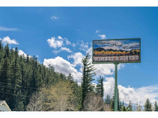 124 River Dr, Bailey, CO 80421