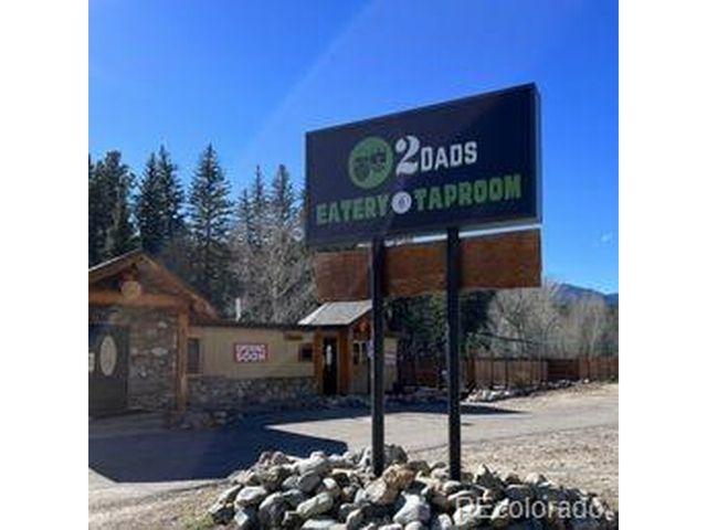 124 River Dr, Bailey, CO 80421