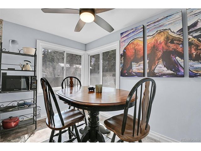 124 River Dr, Bailey, CO 80421