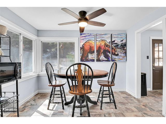 124 River Dr, Bailey, CO 80421