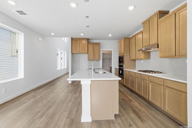 124 Lucy Landing, San Antonio, TX 78253