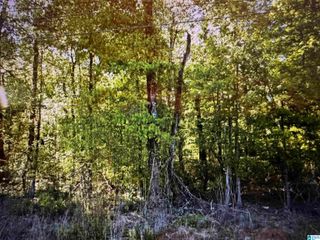 5948 SERVICE ROAD, Birmingham, AL 35235