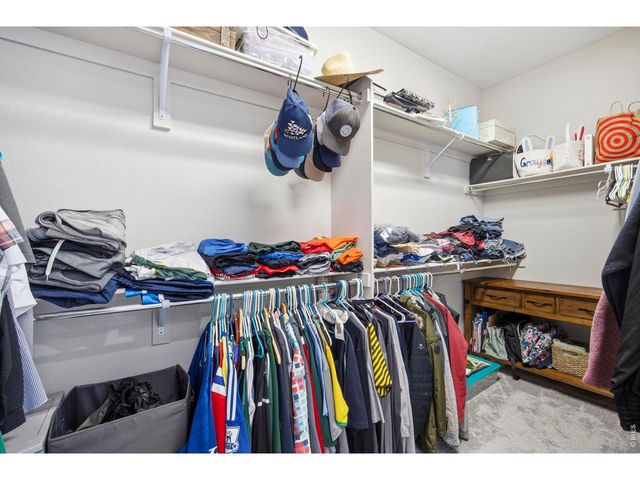 5743 Jedidiah Dr, Timnath, CO 80547