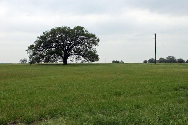 00 Brushy Branch RD, Lockhart, TX 78644
