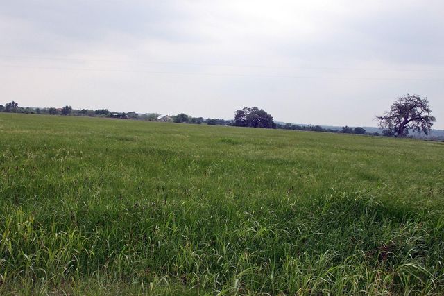00 Brushy Branch RD, Lockhart, TX 78644