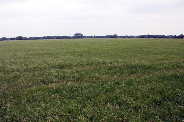 00 Brushy Branch RD, Lockhart, TX 78644