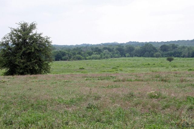 00 Brushy Branch RD, Lockhart, TX 78644