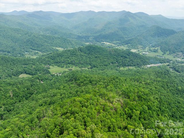 99999 Moody Cove Road 3, Weaverville, NC 28787
