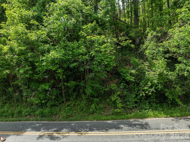 99999 Moody Cove Road 3, Weaverville, NC 28787