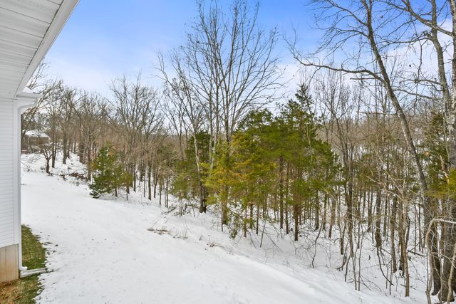 648 Panorama Drive, Cape Fair, MO 65624