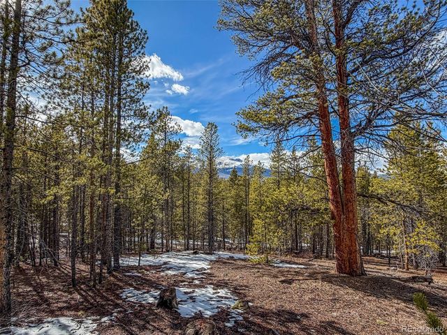 483 Mt Massive Road, Twin Lakes, CO 81251