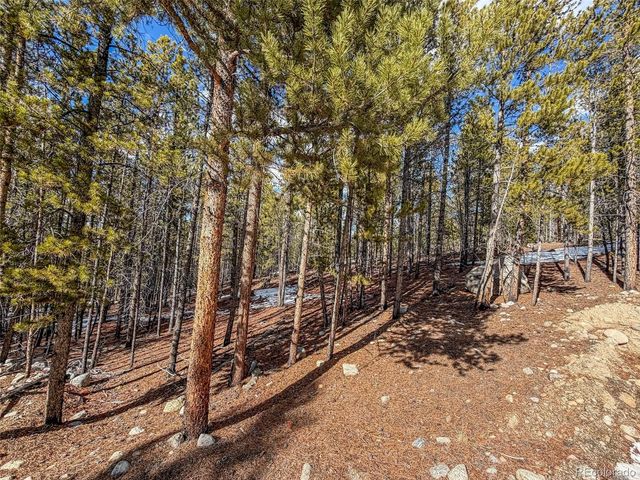 483 Mt Massive Road, Twin Lakes, CO 81251