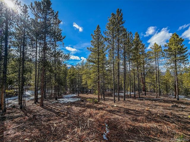 483 Mt Massive Road, Twin Lakes, CO 81251