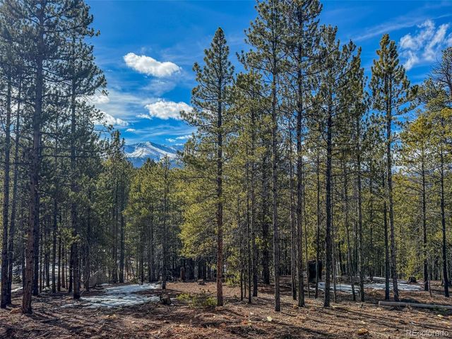 483 Mt Massive Road, Twin Lakes, CO 81251