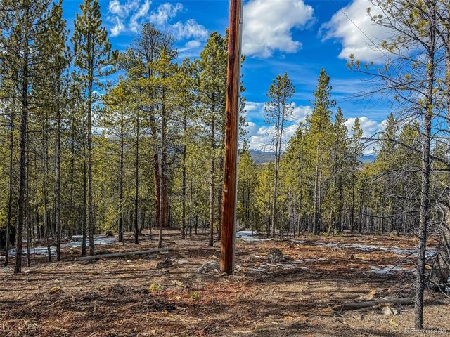 483 Mt Massive Road, Twin Lakes, CO 81251