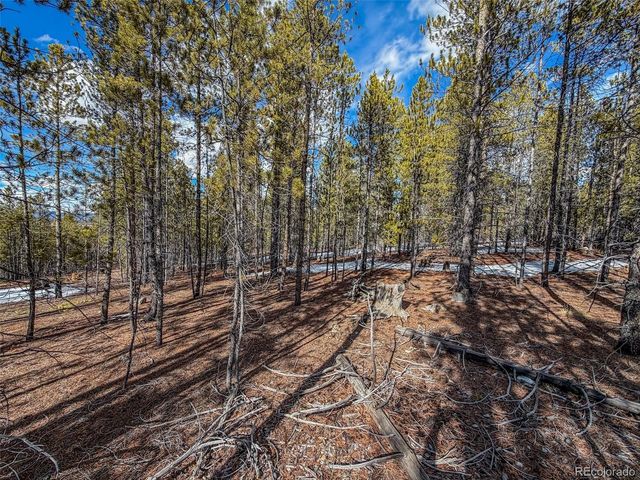 483 Mt Massive Road, Twin Lakes, CO 81251
