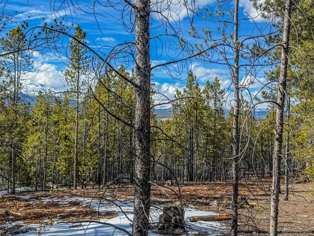 483 Mt Massive Road, Twin Lakes, CO 81251
