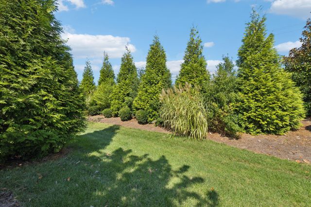 239 Antebellum Ln, Mount Juliet, TN 37122