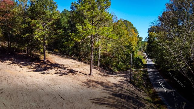 93 Lodi Rd, Westpoint, TN 38486