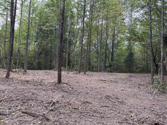 93 Lodi Rd, Westpoint, TN 38486