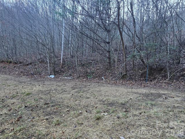 321 Mount Keys Drive, Bryson City, NC 28713