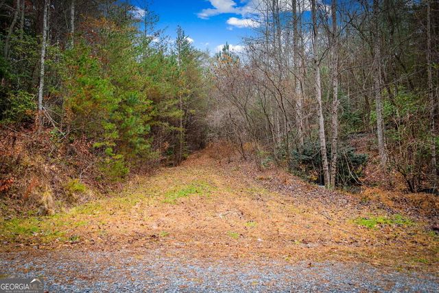 5.97AC Bullen Gap Road, Blue Ridge, GA 30513