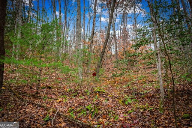 5.97AC Bullen Gap Road, Blue Ridge, GA 30513