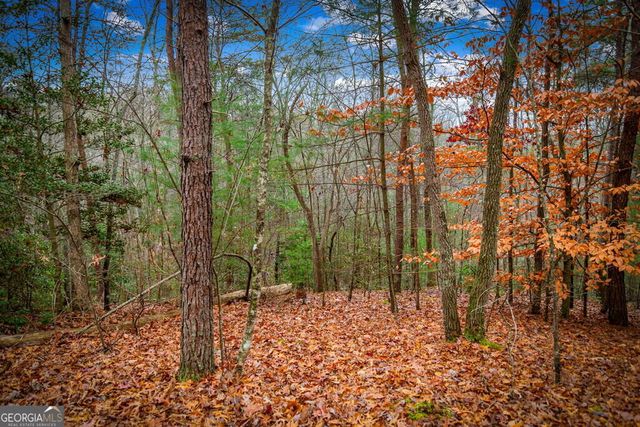 5.97AC Bullen Gap Road, Blue Ridge, GA 30513