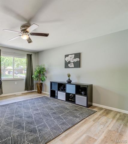 3213 Fleet Lane, Unincorporated, MO 63301