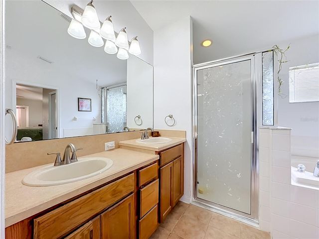 6630 CAMBRIDGE PARK DRIVE, Apollo Beach, FL 33572