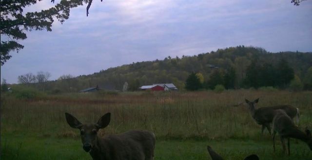 2091 North Lake Road, Benson, VT 05743