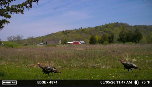 2091 North Lake Road, Benson, VT 05743
