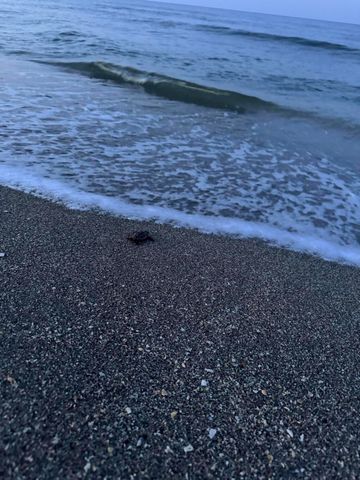 8323 SE Croft Circle N9, Hobe Sound, FL 33455