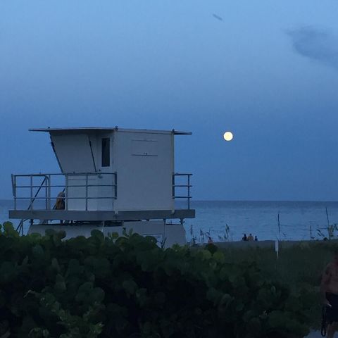 8323 SE Croft Circle N9, Hobe Sound, FL 33455