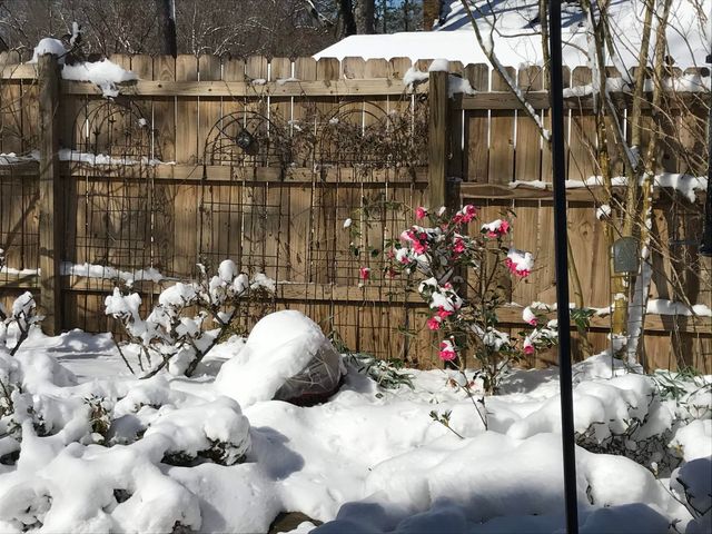 2153 WOOD CREEK DR, Germantown, TN 38138