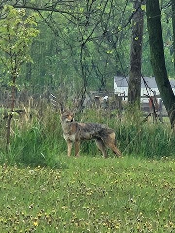 2760 N Territorial Road W, Ann Arbor, MI 48105